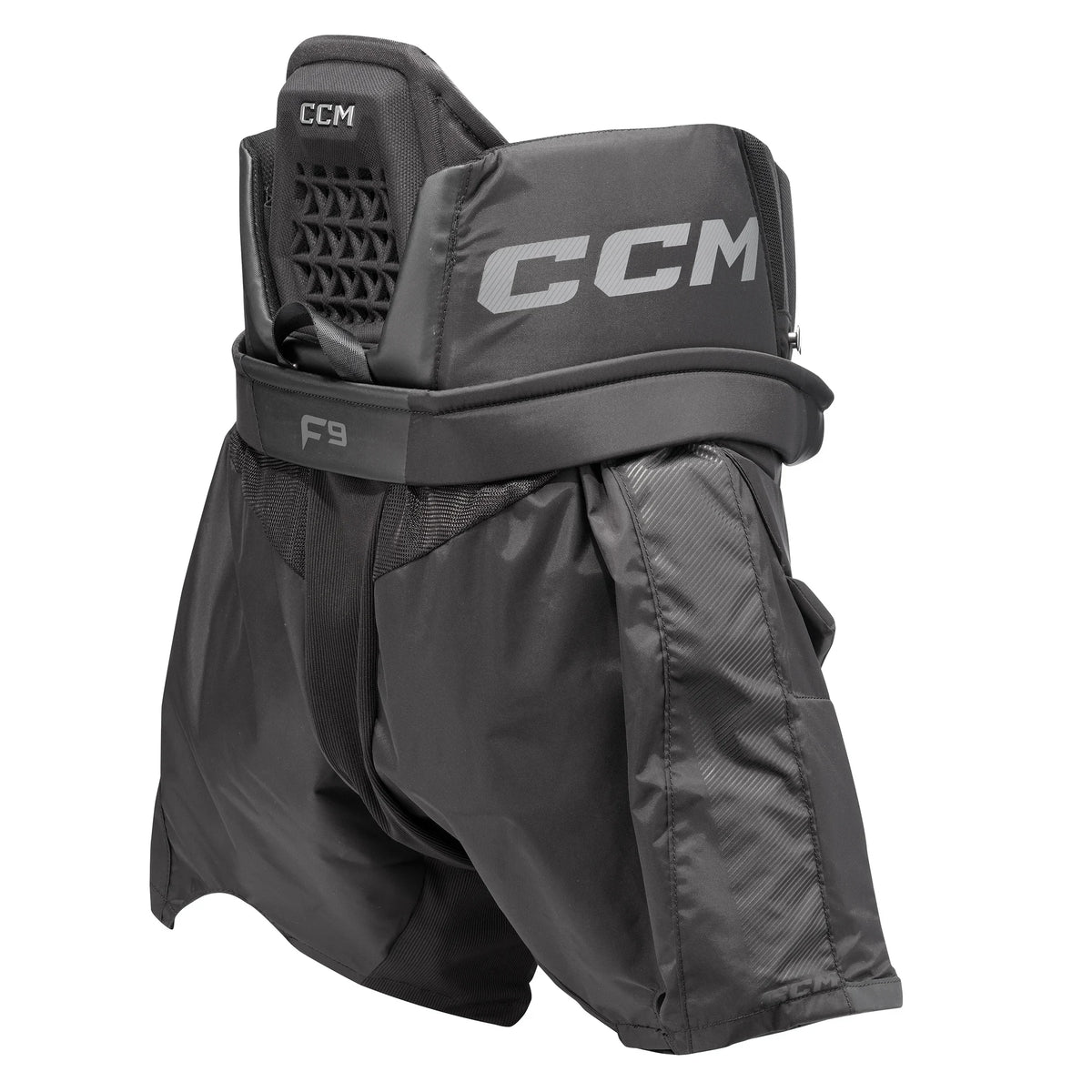 CCM Axis F9 Senior Goalie Pants black back view